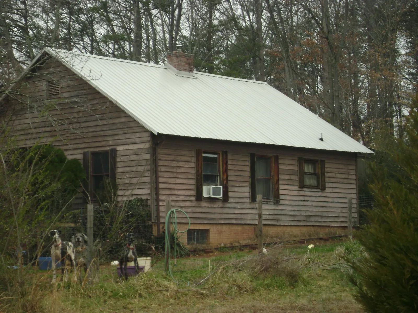 White metal roof on an old wood sided farmhouse, from a Asphalt Shingle Roof Repair job in Alpena